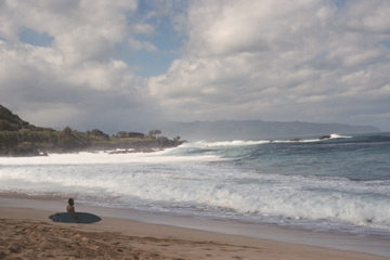 Study the ocean Waimea Bay, 2004
