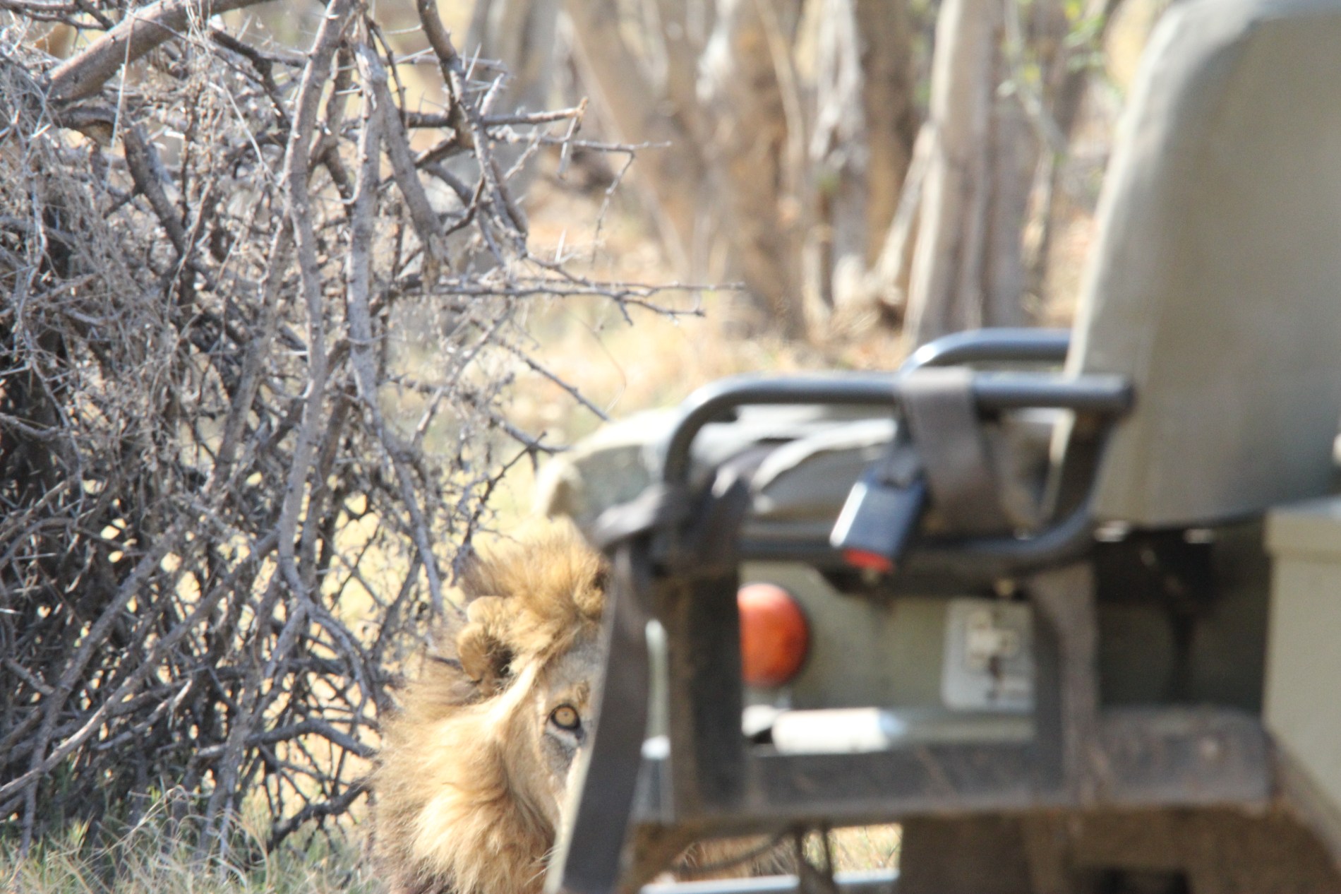 The view of tourism in Africa